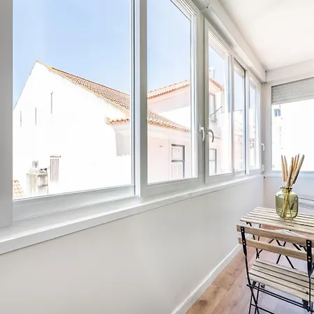 Akicity Santos Lush *