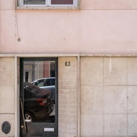 Akicity Estrela Lush