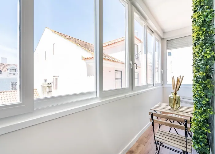 Akicity Estrela Lush *